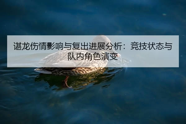 谌龙伤情影响与复出进展分析：竞技状态与队内角色演变