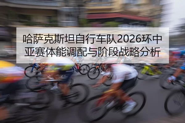 ha-sa-ke-si-tan-zi-xing-che-dui-huan-zhong-ya-sai-ti-neng-diao-pei-yu-jie-duan-zhan-lve-fen-xi-2-282.jpg